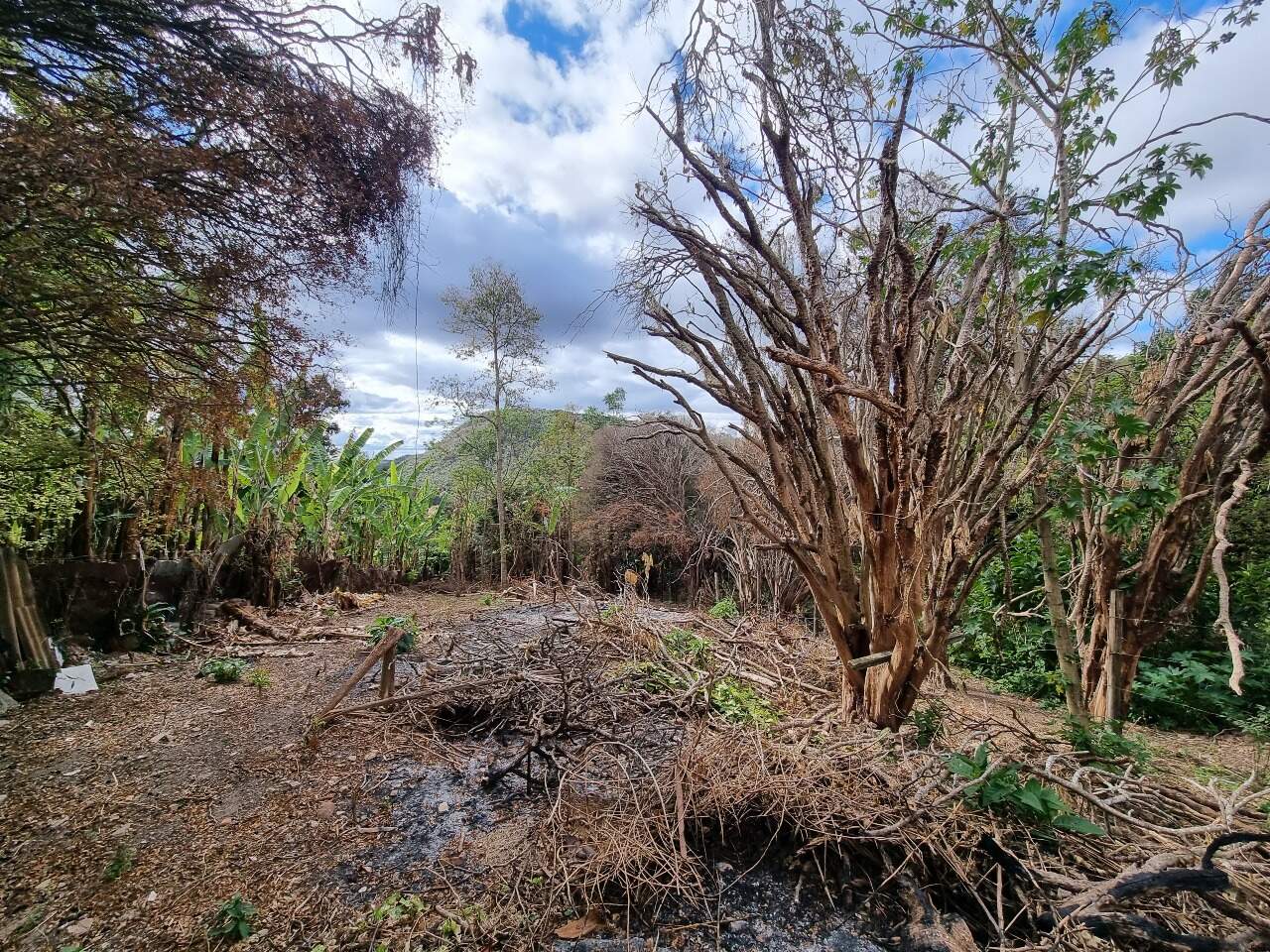 Casa à venda no Centro: 