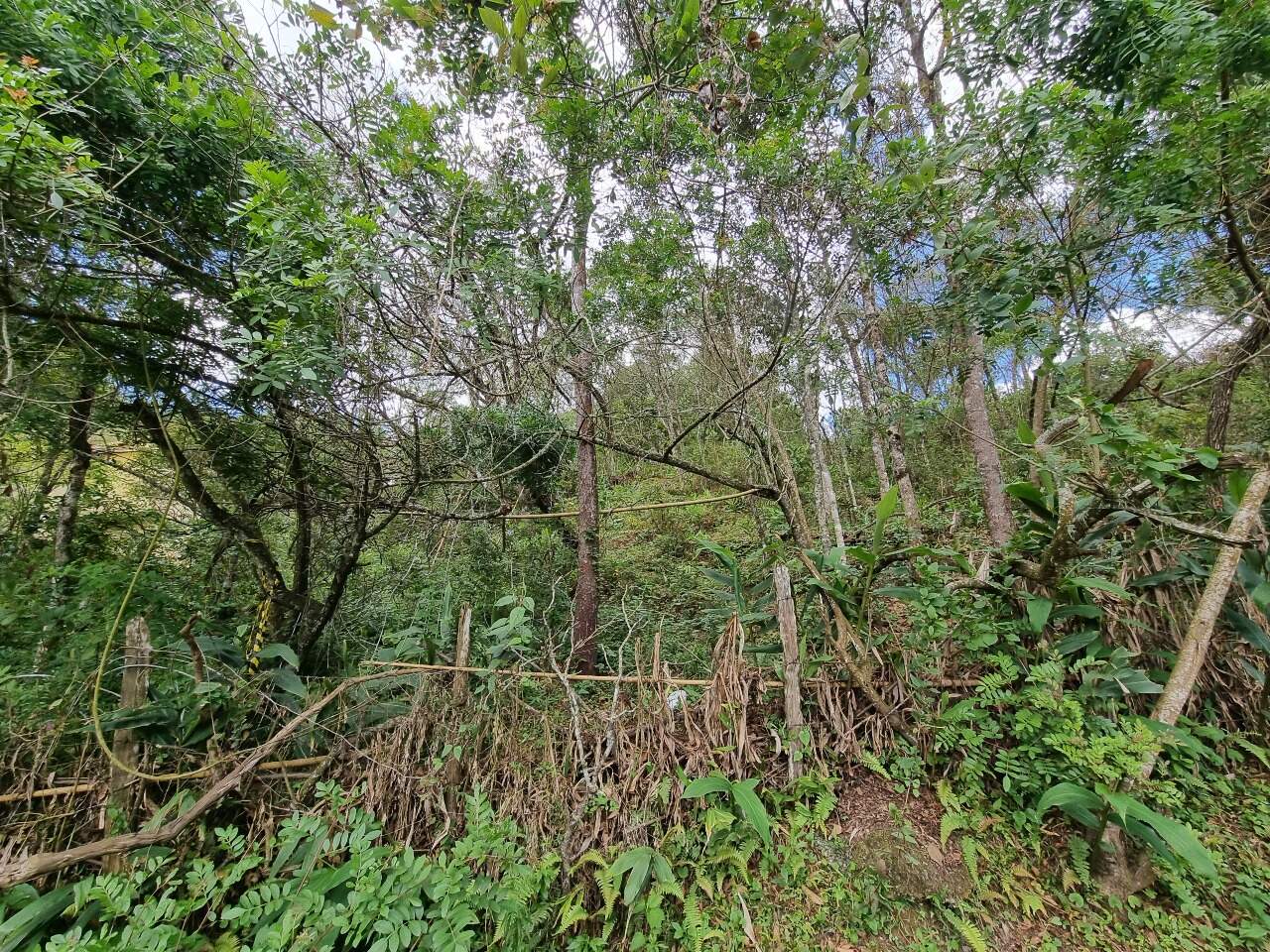 Lote à venda no Morro São Sebastião: 