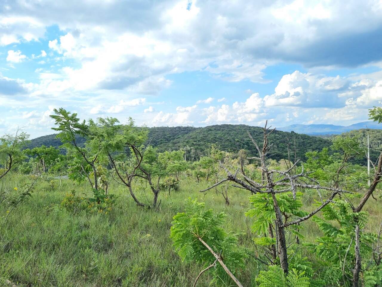 Chácara à venda no Residencial Dom Bosco: 