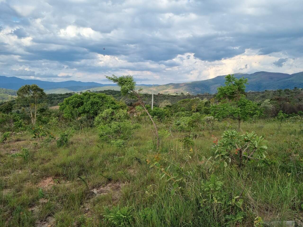 Chácara à venda no Residencial Dom Bosco: 