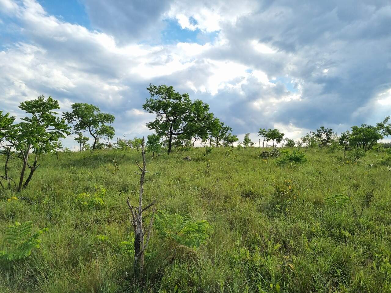 Chácara à venda no Residencial Dom Bosco: 