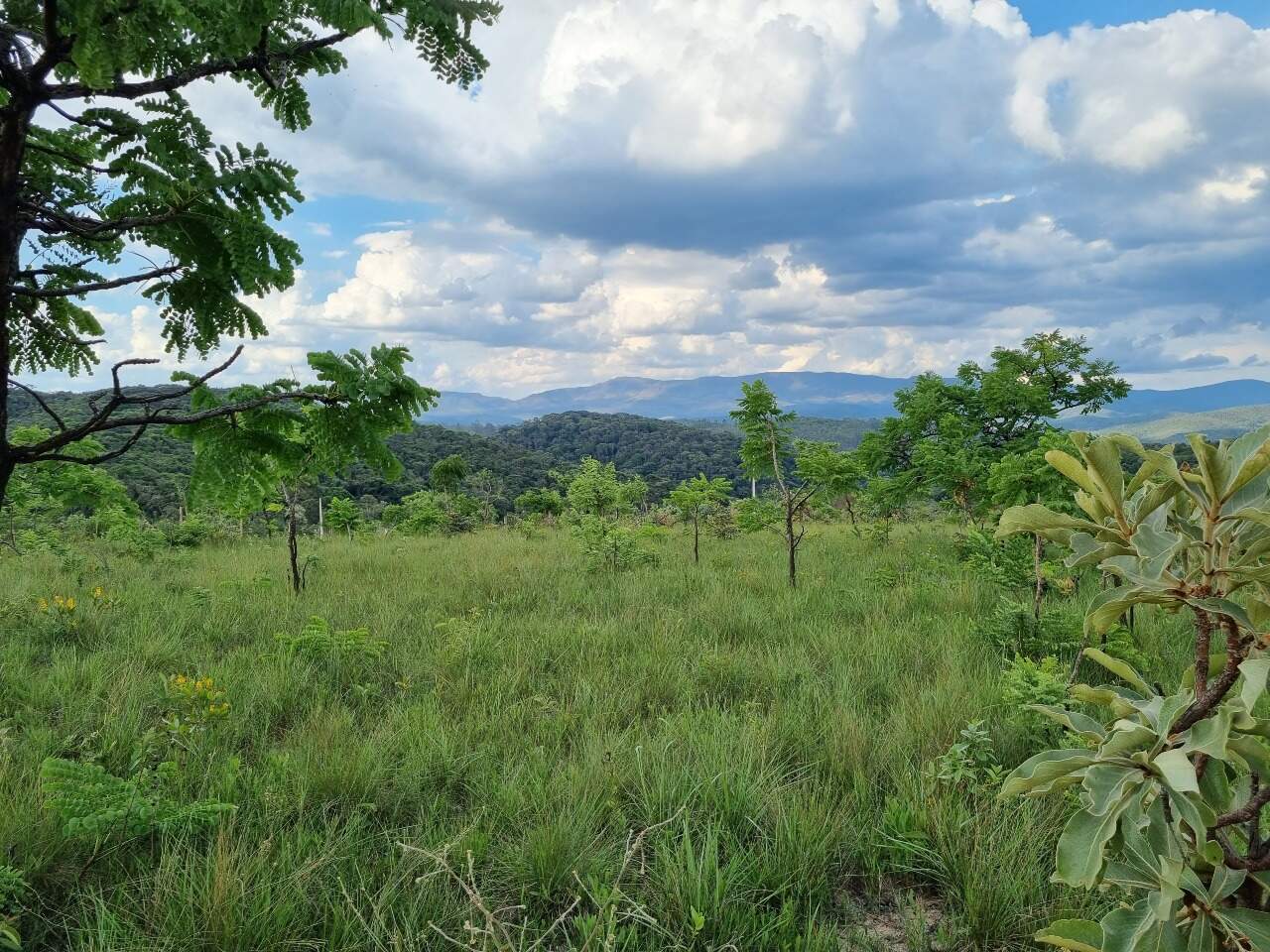 Chácara à venda no Residencial Dom Bosco: 