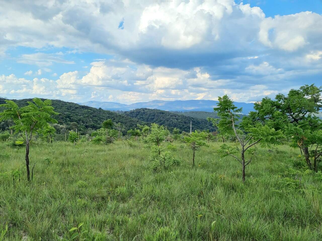 Chácara à venda no Residencial Dom Bosco: 
