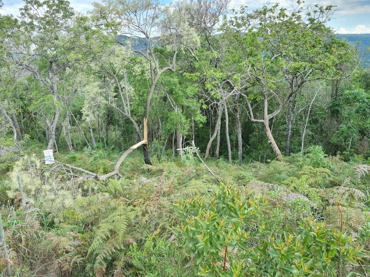 Lote à venda no Residencial Dom Bosco: 