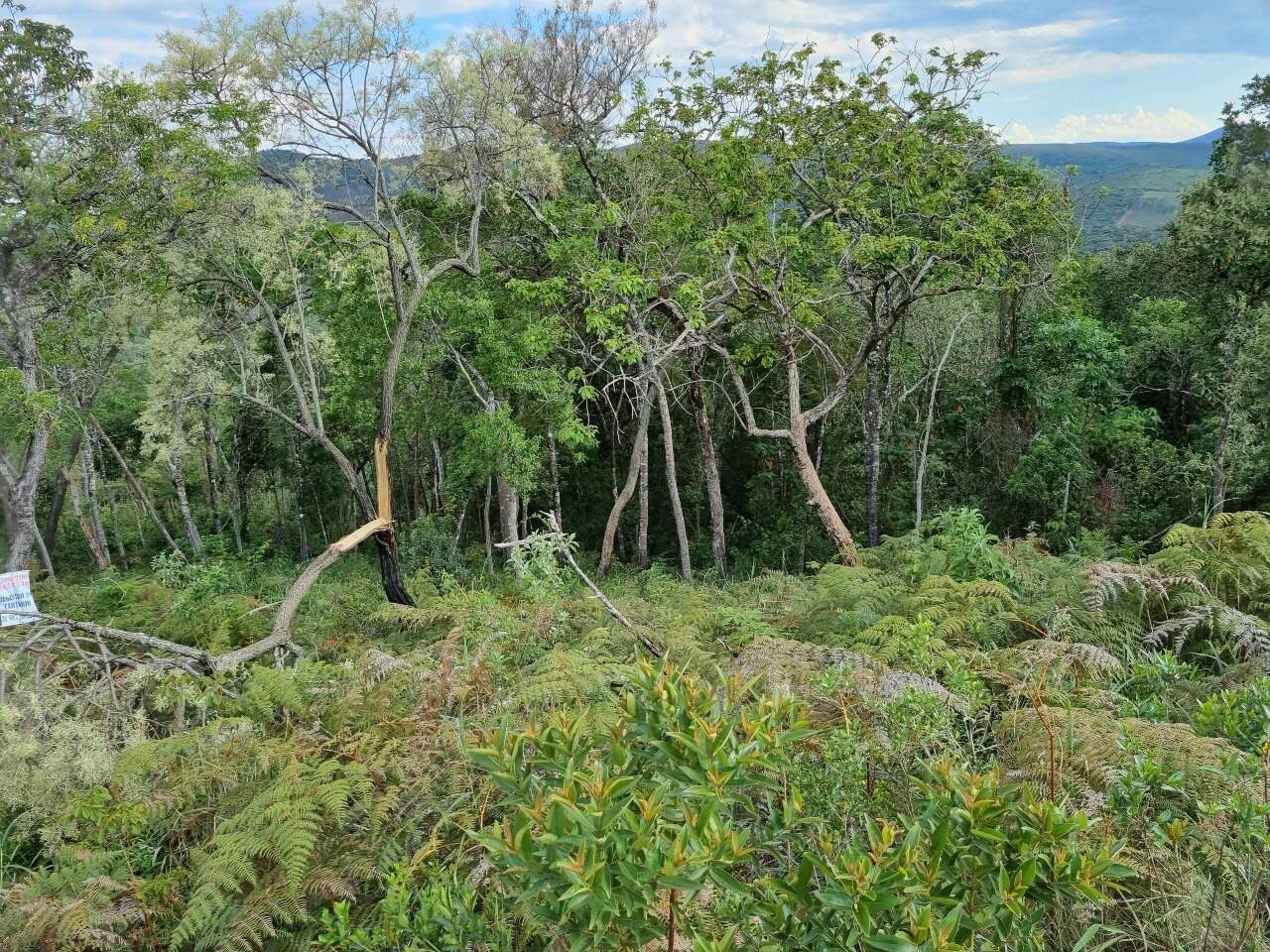Lote à venda no Residencial Dom Bosco: 