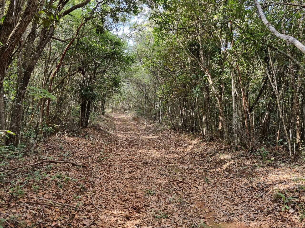 Sítio à venda no Soares: 