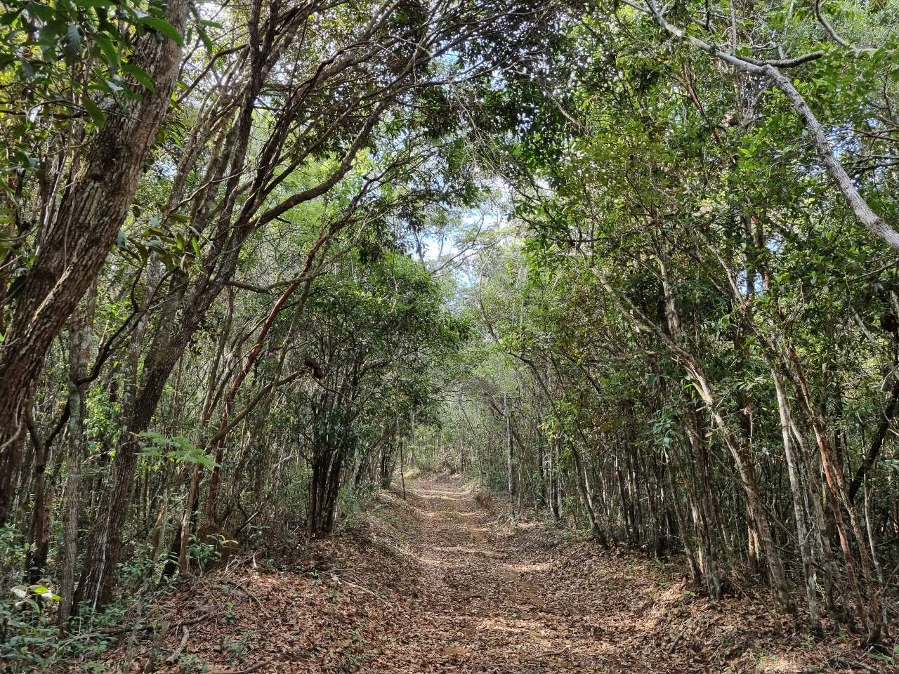 Sítio à venda no Soares: 