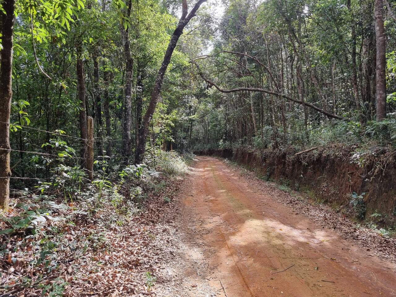 Sítio à venda no Soares: 