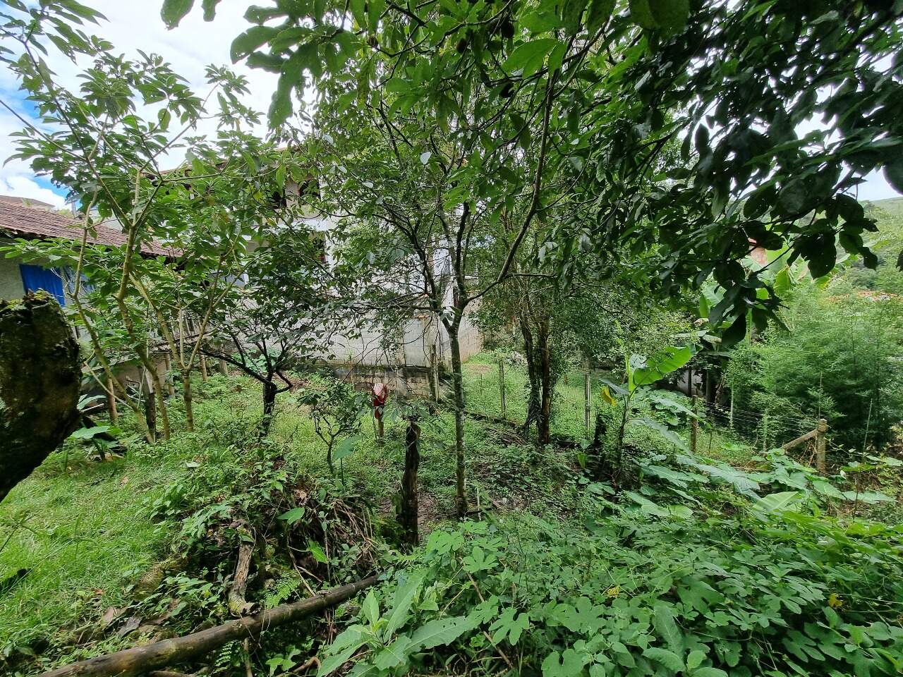 Lote à venda no Bairro Nossa Senhora de Lourdes: 