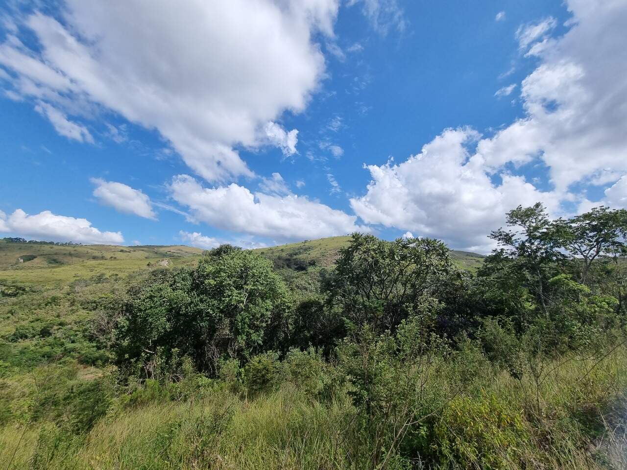 Sítio à venda no Rodrigo Silva: 