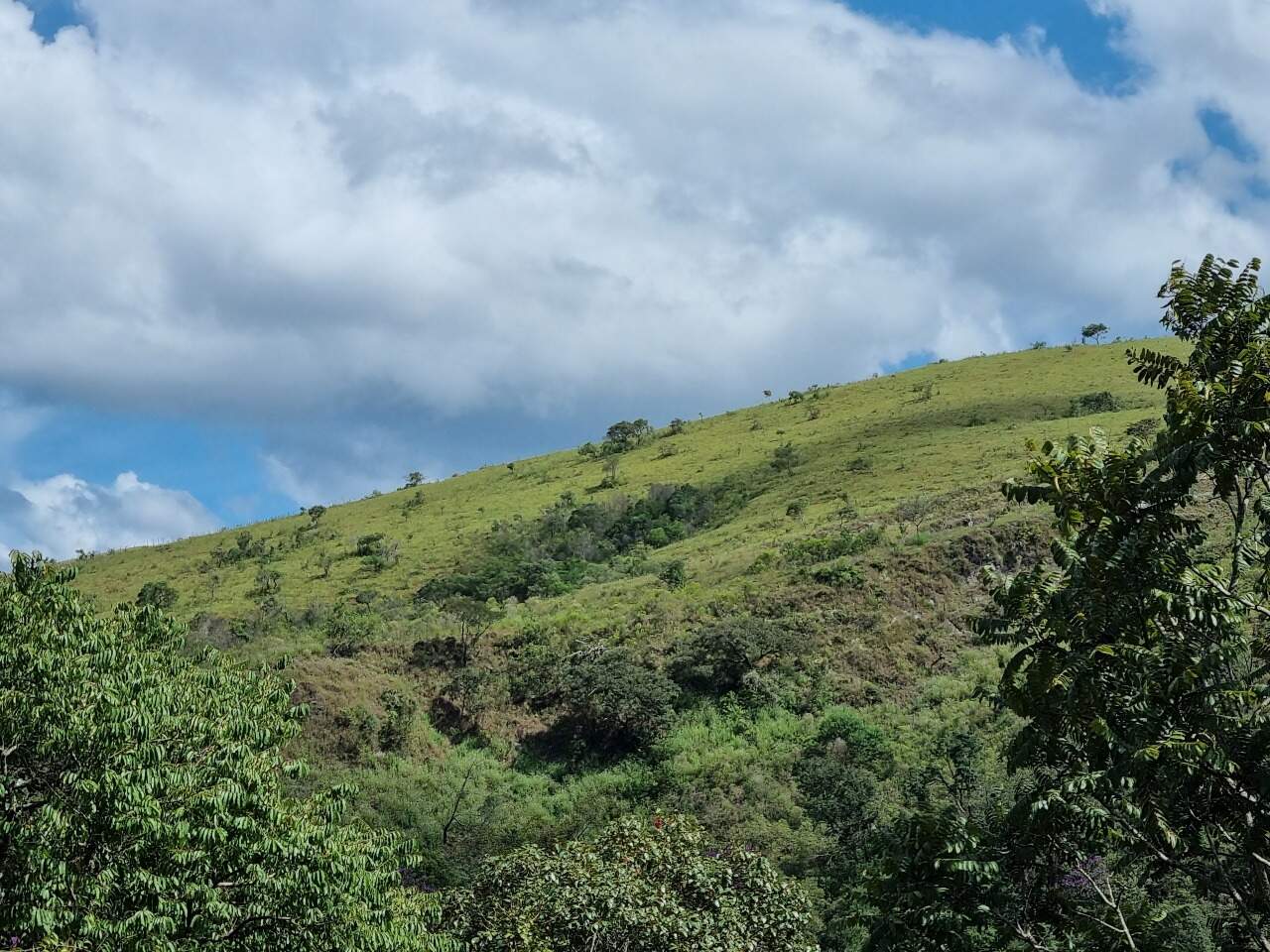 Sítio à venda no Rodrigo Silva: 