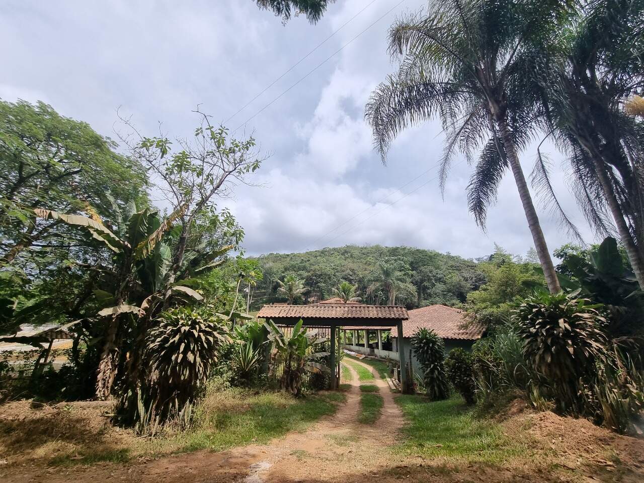 Sítio à venda no Barro Branco: 