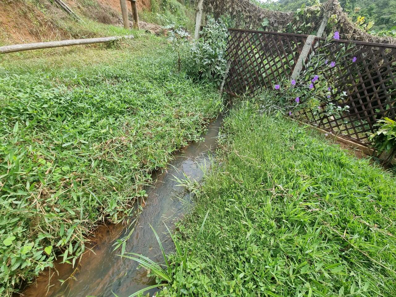 Sítio à venda no Barro Branco: 