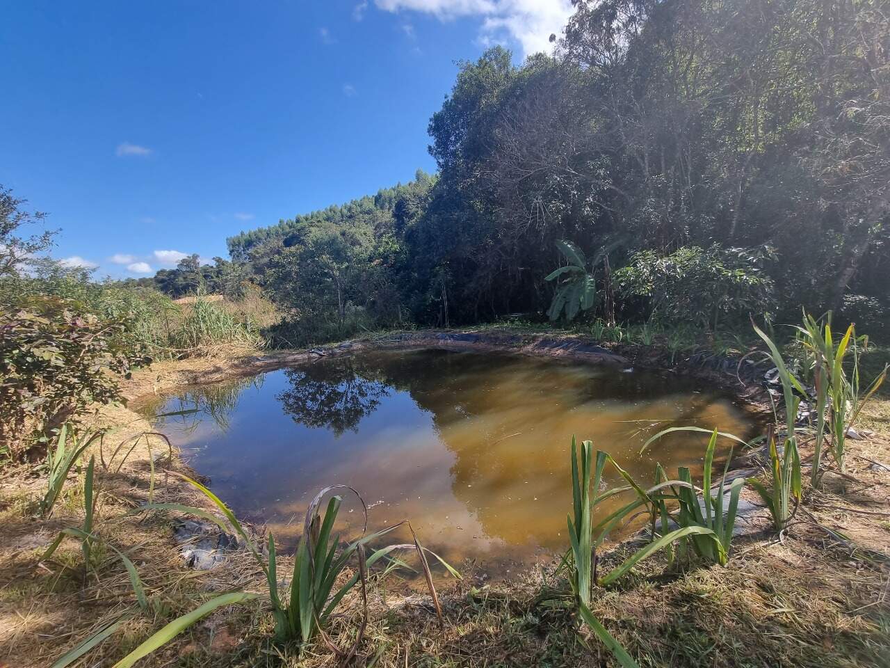 Chácara à venda no Glaura: 