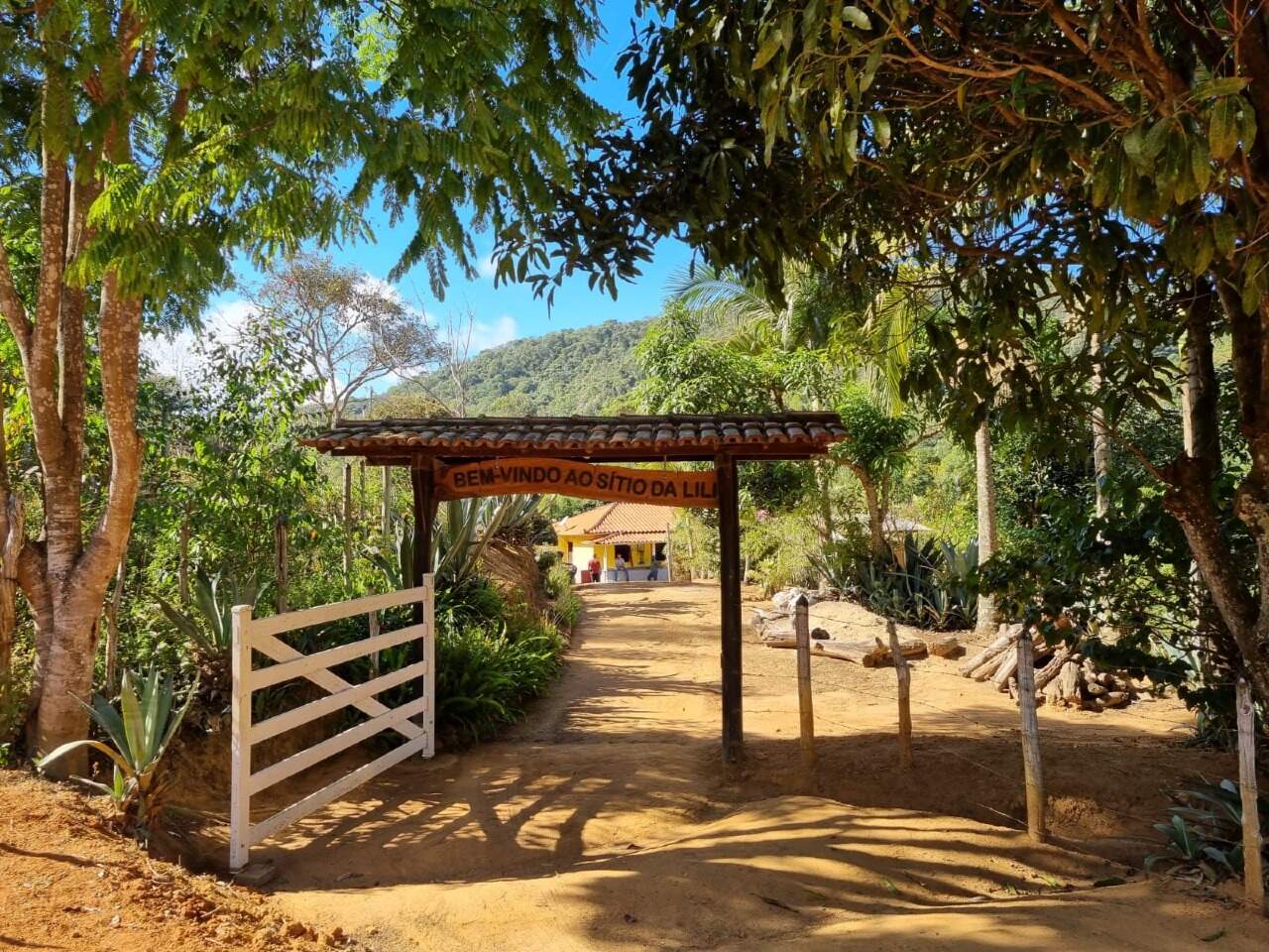 Sítio à venda no Zona Rural: 