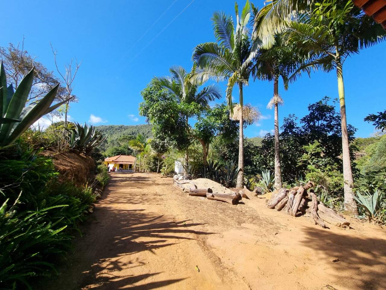 Sítio à venda no Zona Rural: 