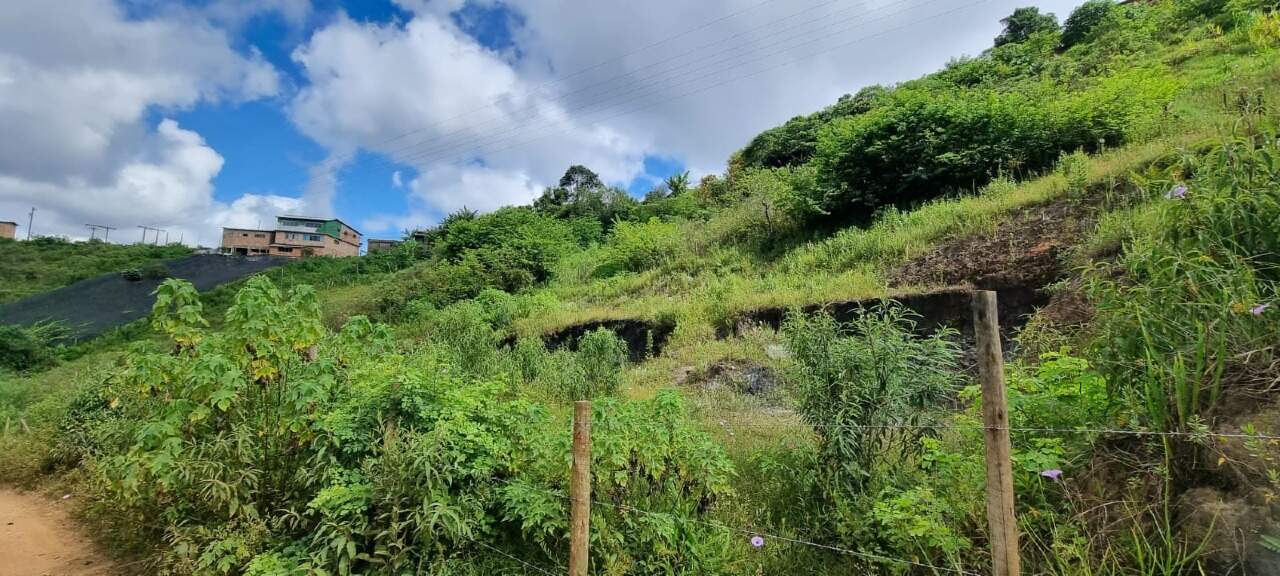 Lote à venda no Santa Cruz: 