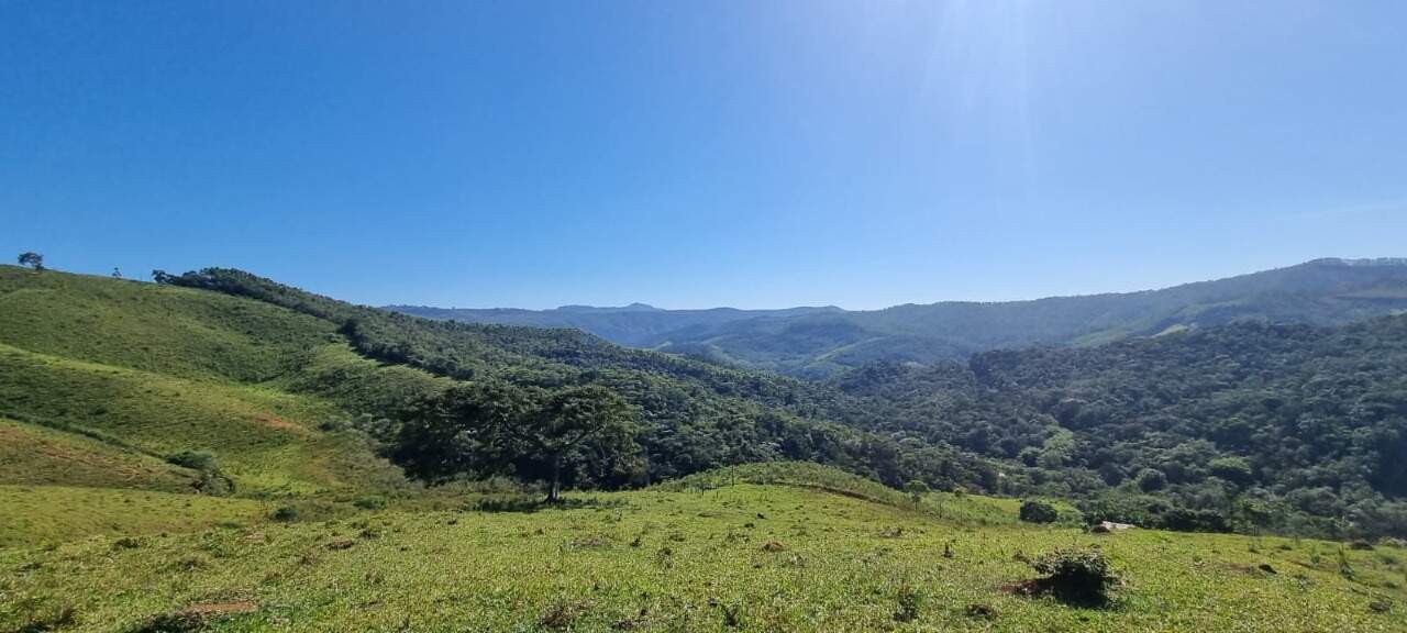 Fazenda à venda no Zona Rural: 
