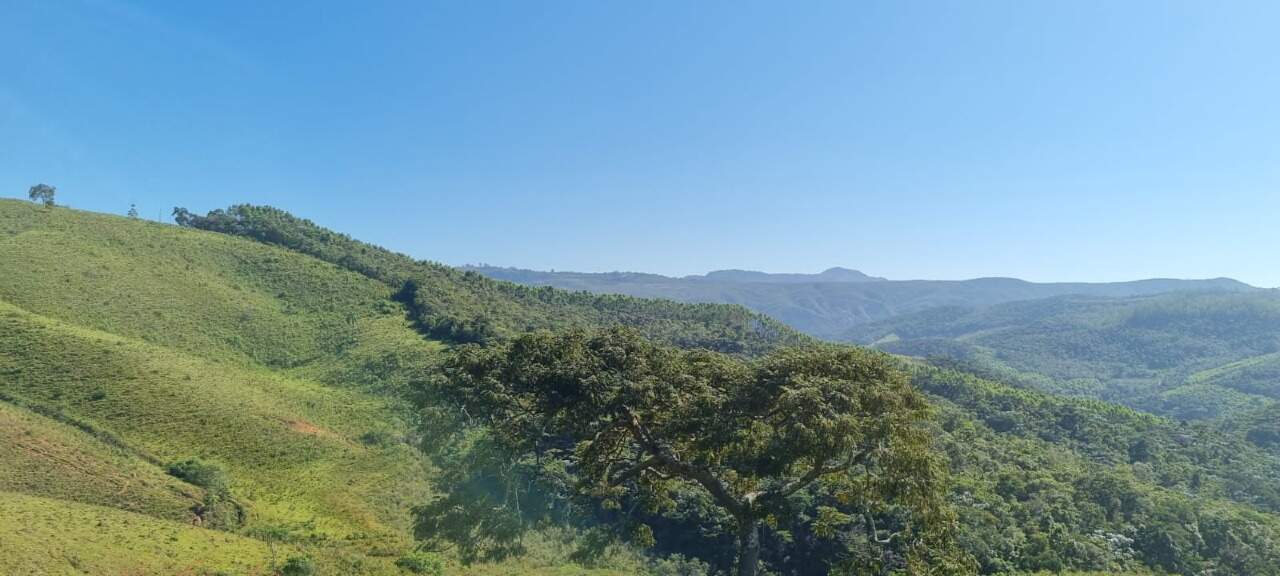 Fazenda à venda no Zona Rural: 