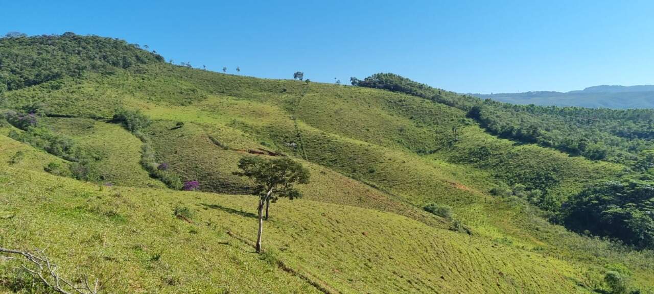Fazenda à venda no Zona Rural: 