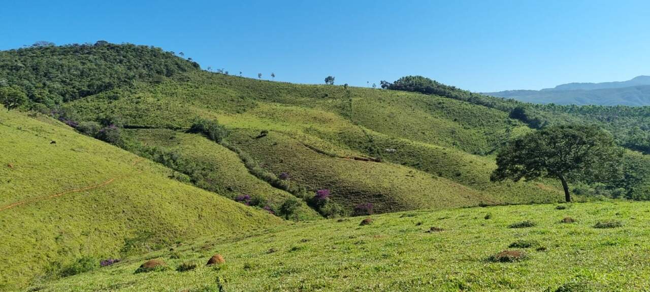 Fazenda à venda no Zona Rural: 