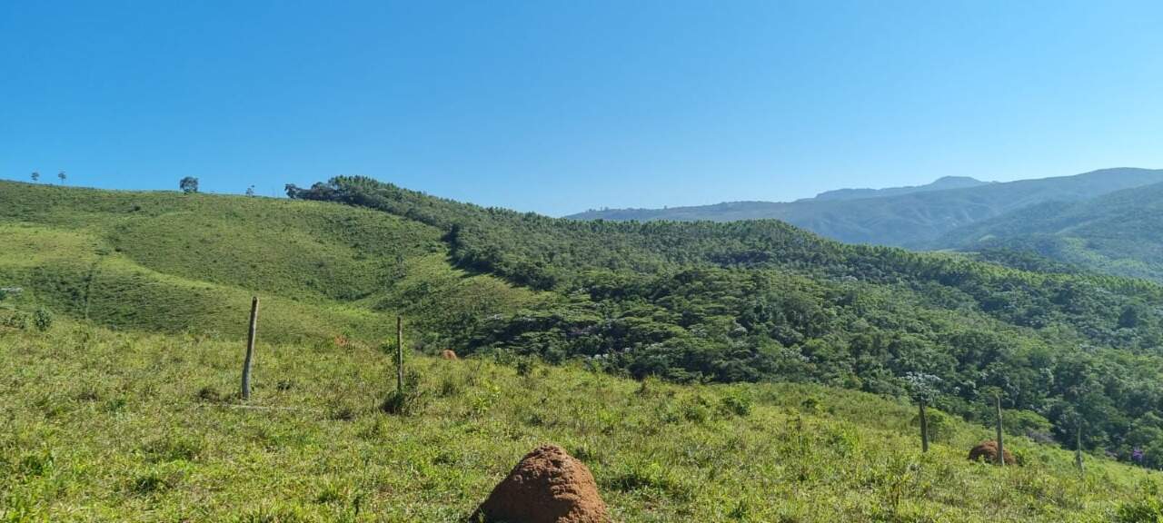 Fazenda à venda no Zona Rural: 