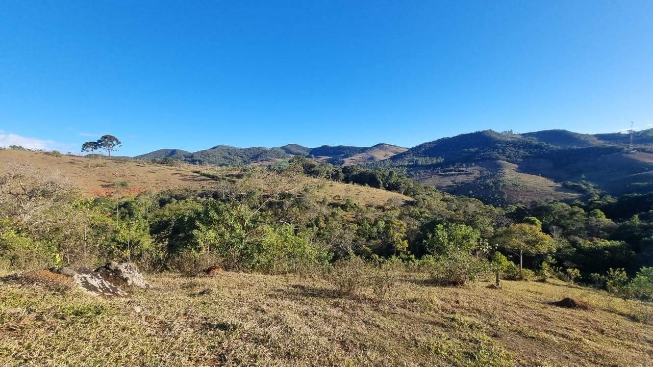 Sítio à venda no Pasto Limpo: 