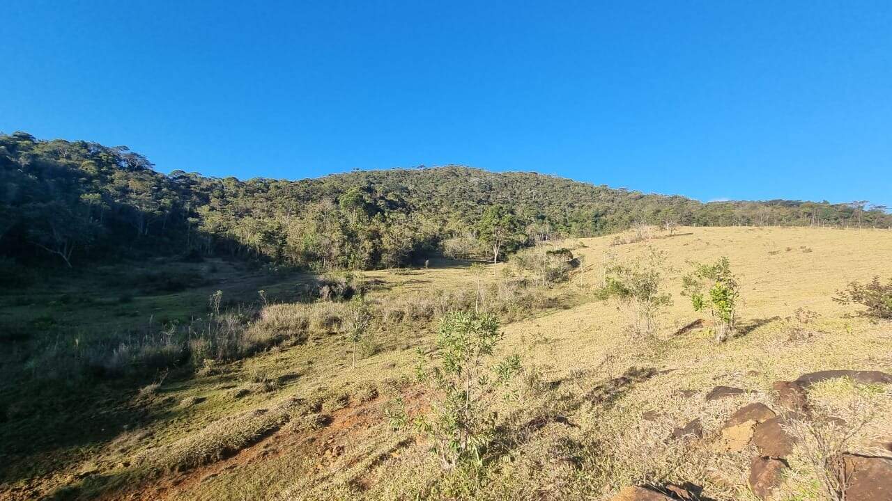 Sítio à venda no Pasto Limpo: 