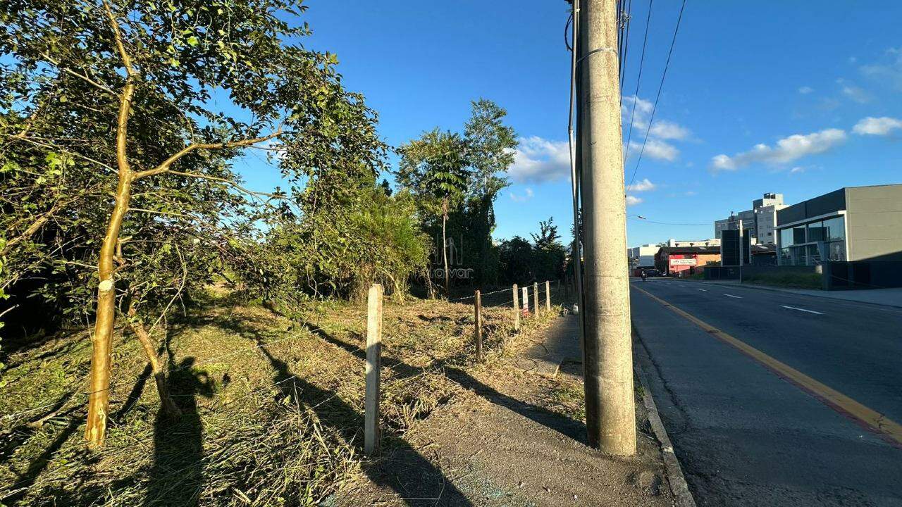 Terreno à venda no Amizade: 