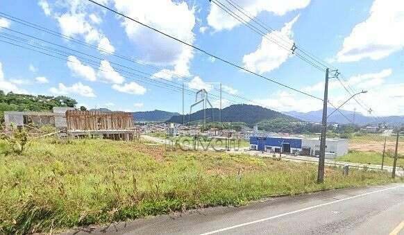 Terreno à venda no Tifa Martins: 