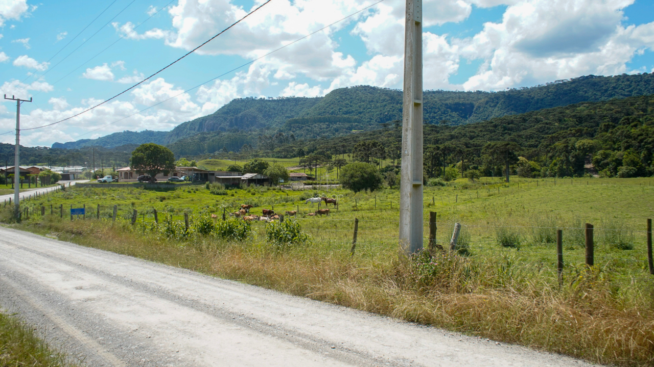Terreno à venda no Estrada Municipal de São Francisco : 