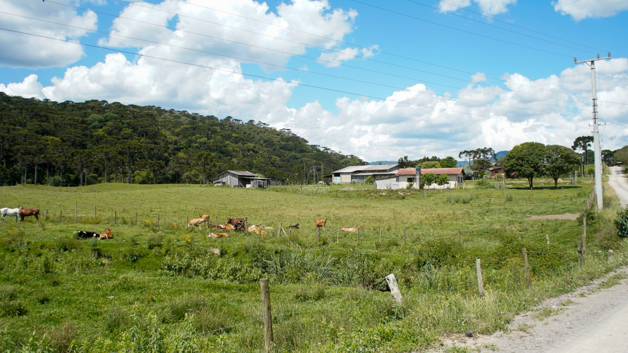 Terreno à venda no Estrada Municipal de São Francisco : 