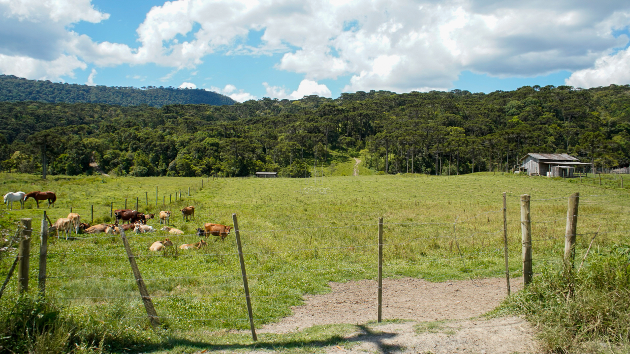 Terreno à venda no Estrada Municipal de São Francisco : 