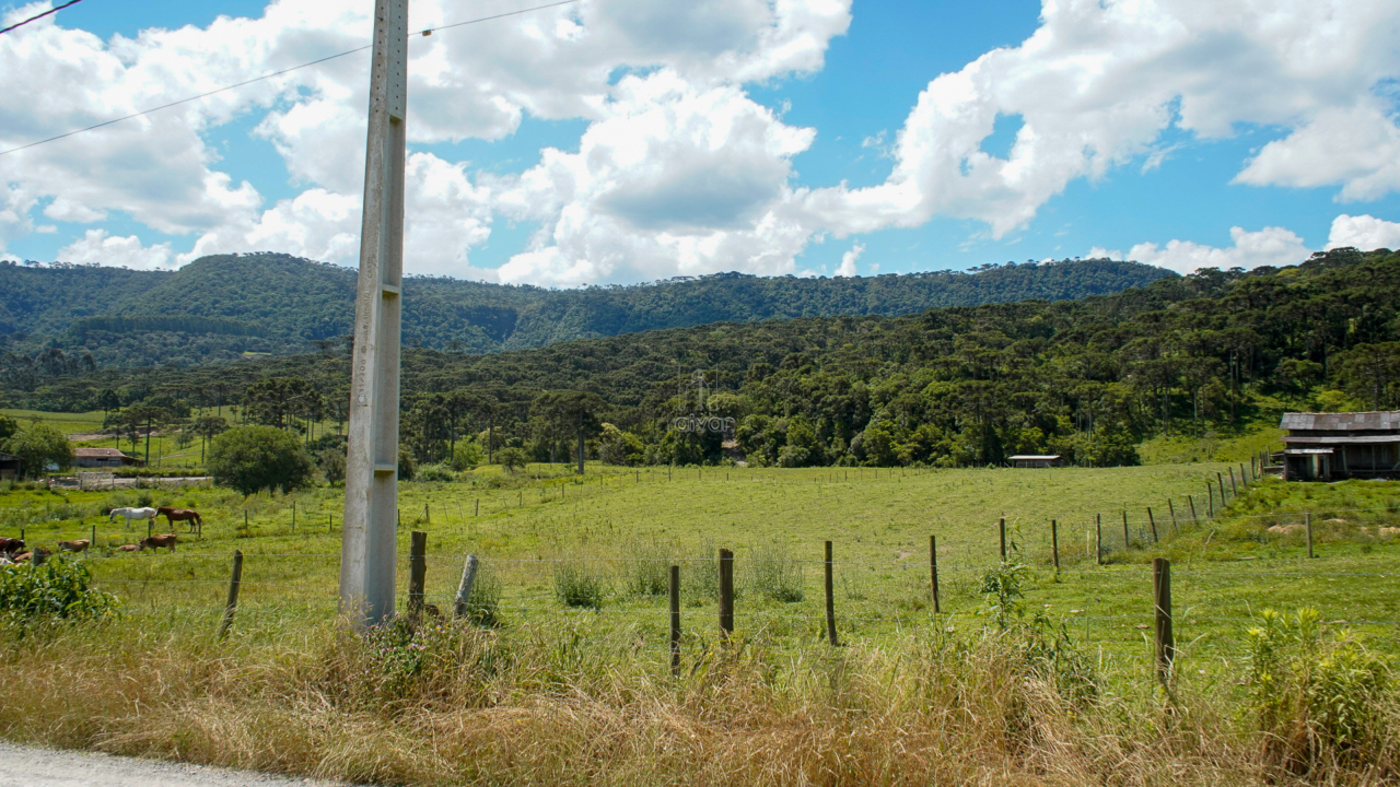 Terreno à venda no Estrada Municipal de São Francisco : 