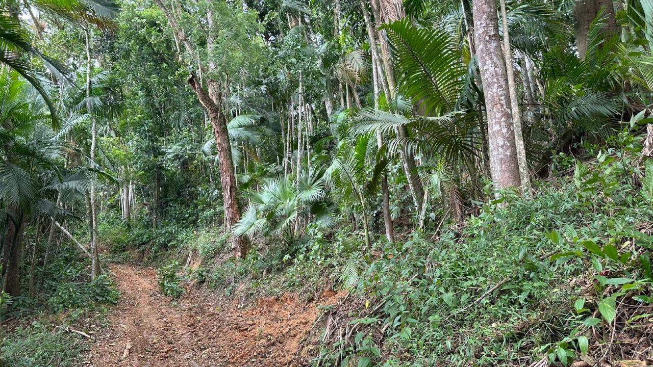 Terreno à venda no Barra do Rio Cerro: 