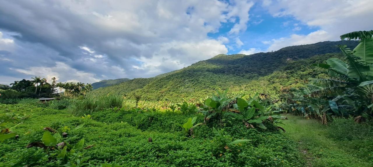 Terreno à venda no Ribeirão Grande do Norte : 