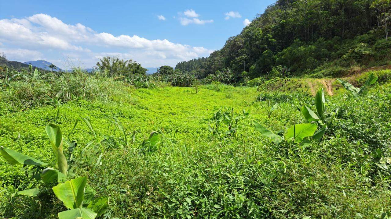 Terreno à venda no Ribeirão Grande do Norte : 