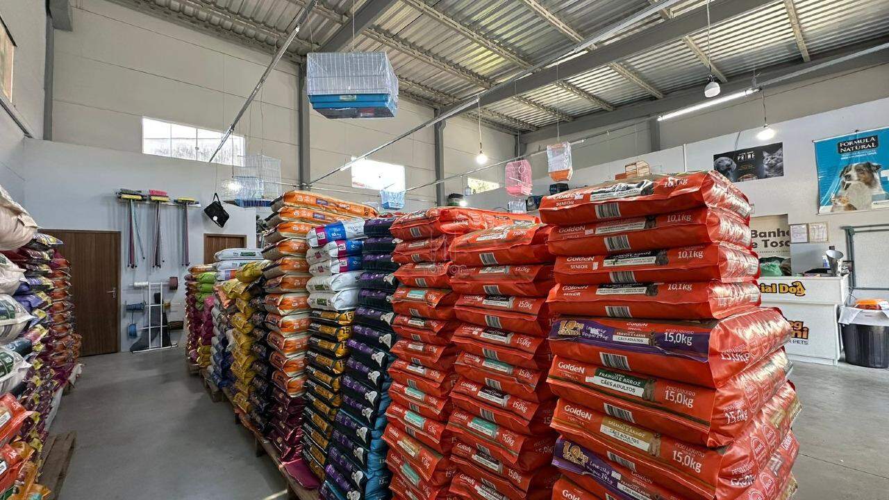 Galpão à venda no Chico de Paulo: 