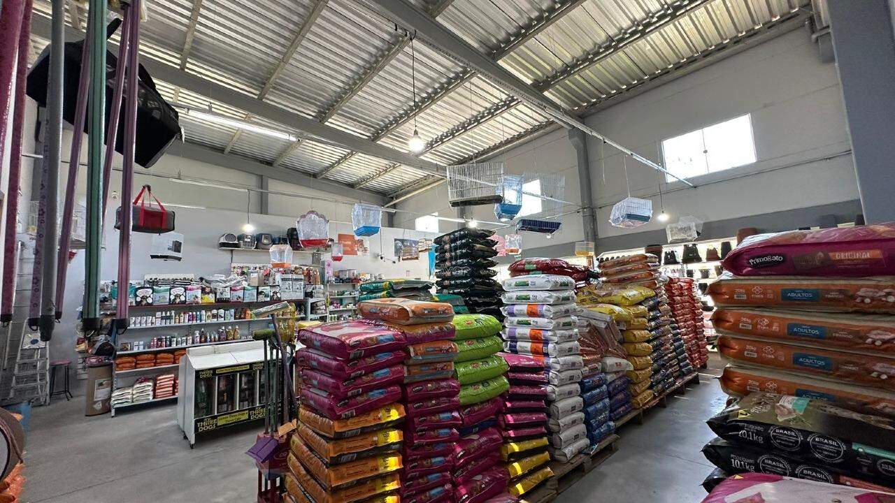 Galpão à venda no Chico de Paulo: 