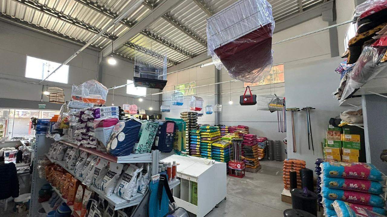 Galpão à venda no Chico de Paulo: 