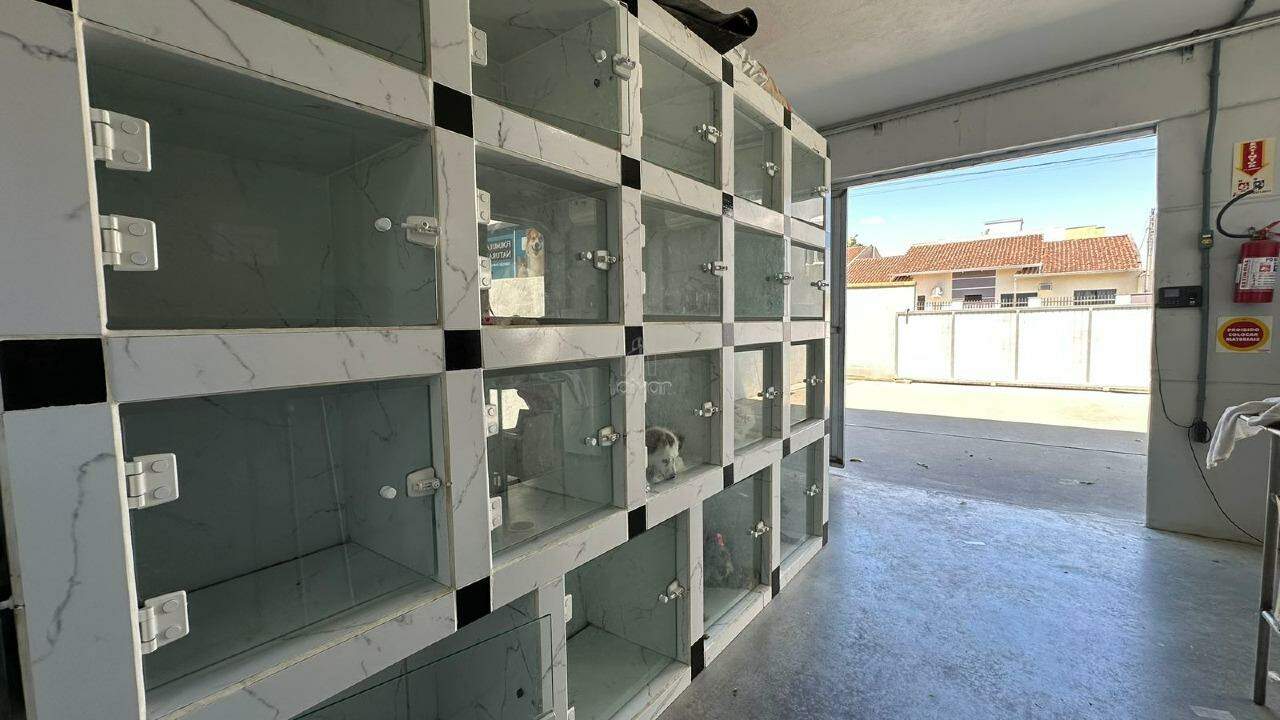 Galpão à venda no Chico de Paulo: 