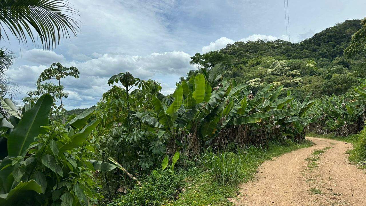 Terreno à venda no Bananal Do Sul: 