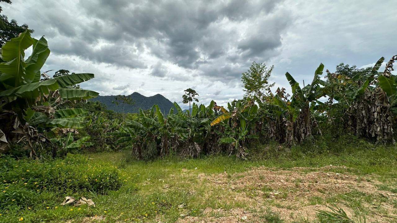 Terreno à venda no Bananal Do Sul: 