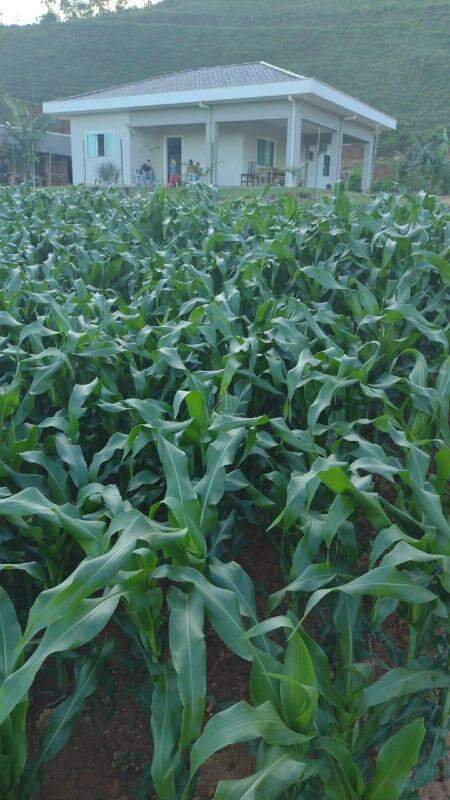 Chácara à venda no Santo Antônio: 