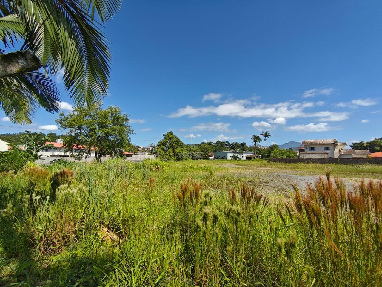 Terreno para aluguel no Rau: 