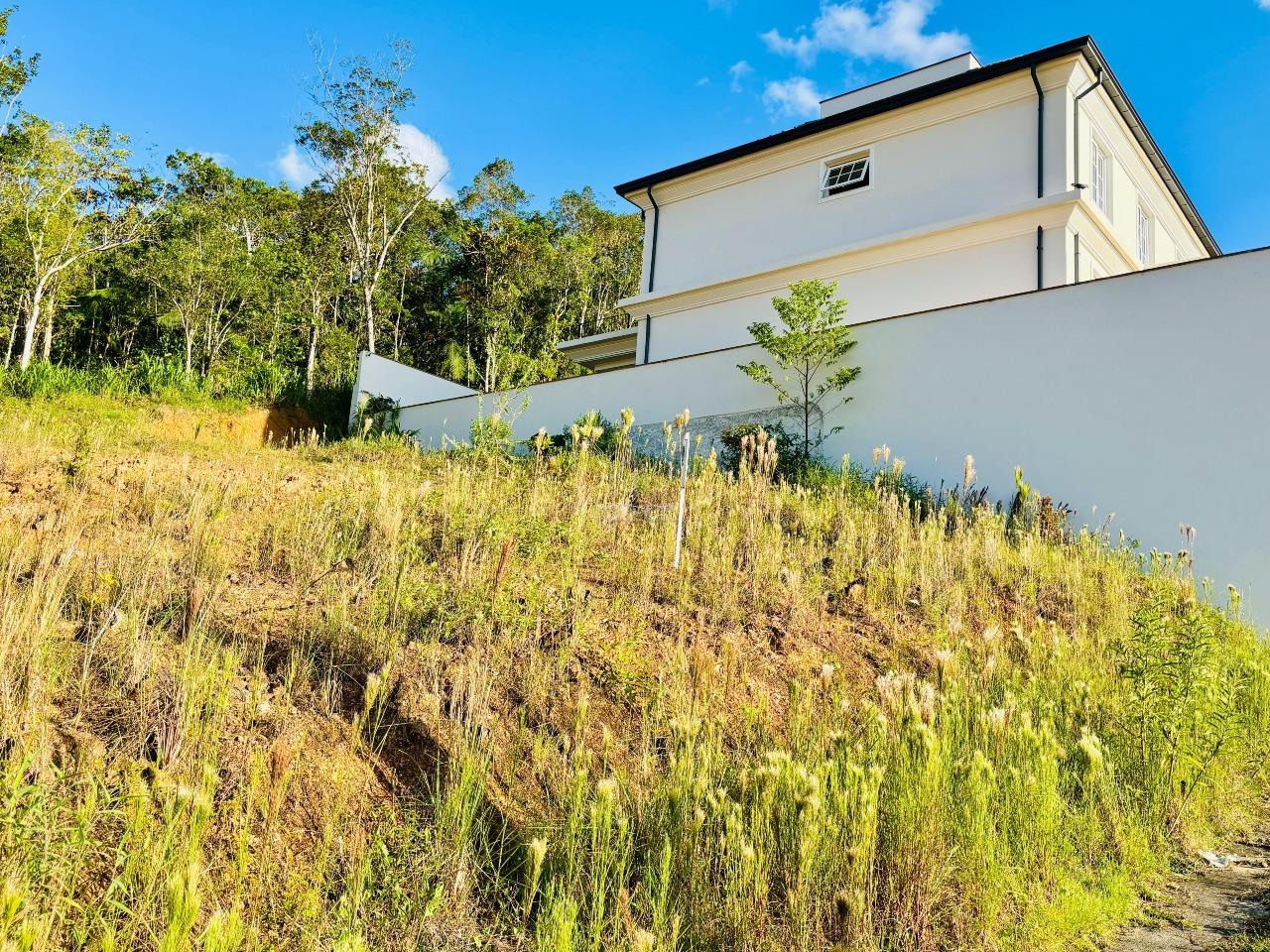 Terreno à venda no Amizade: 