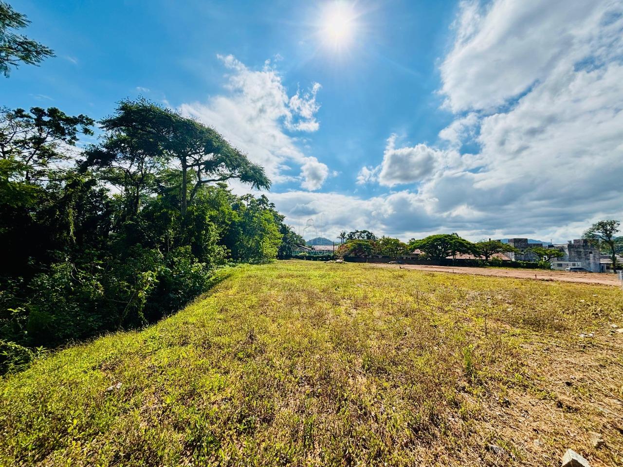 Terreno à venda no Czerniewicz: 