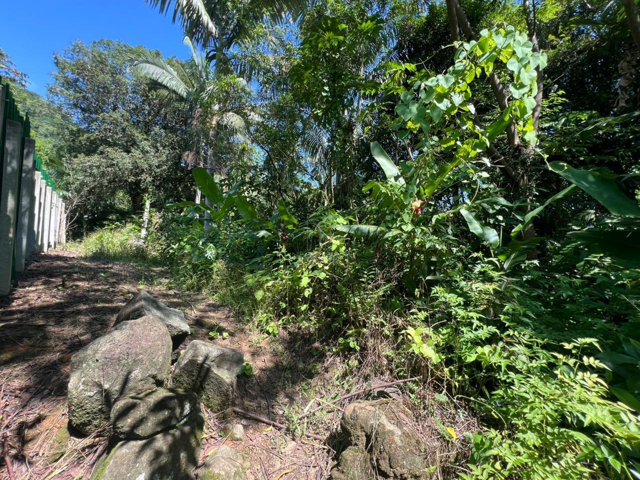 Chácara à venda no Rio Da Luz: 