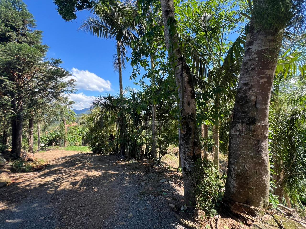 Chácara à venda no Itapocu: 