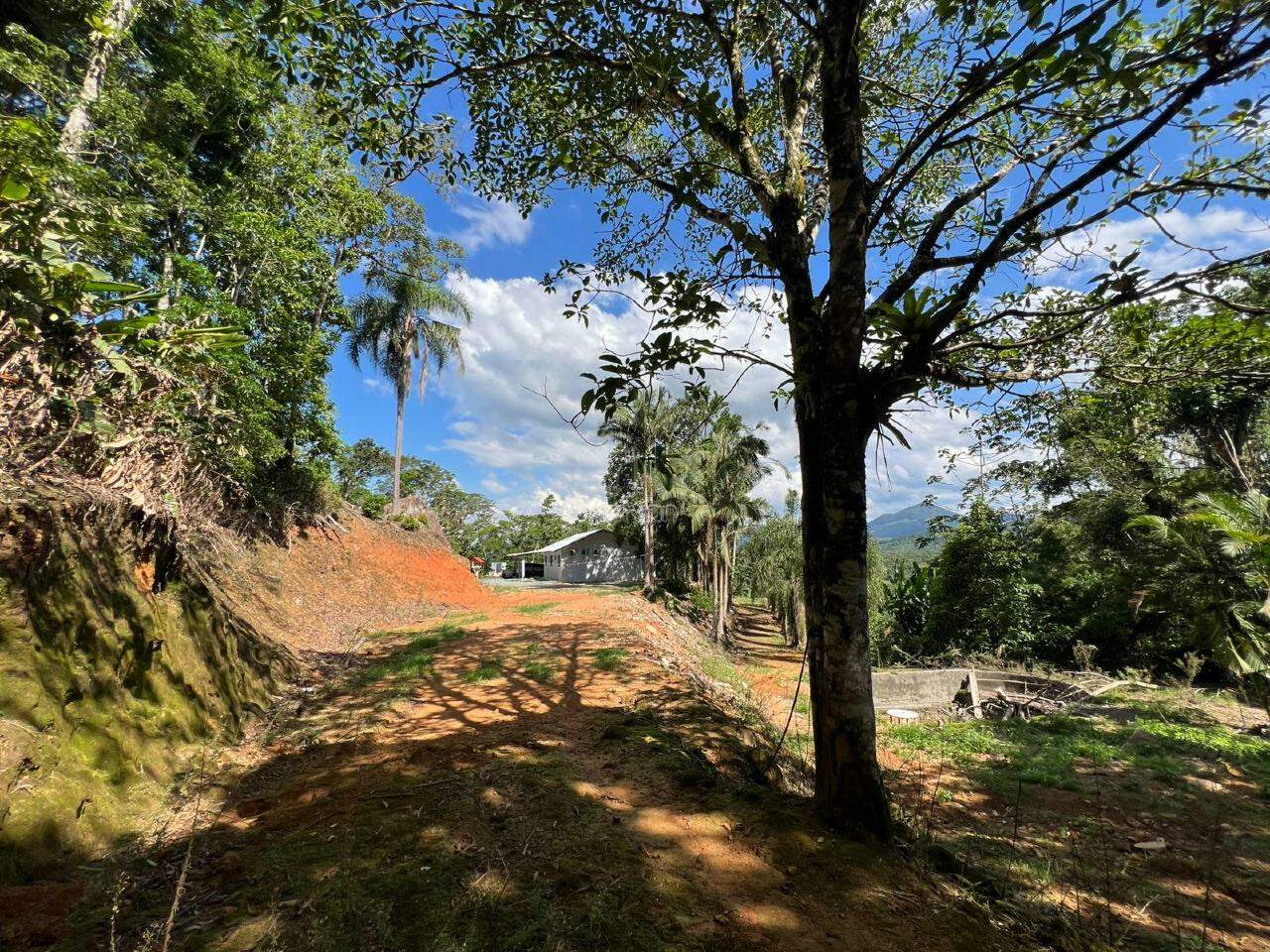 Chácara à venda no Itapocu: 